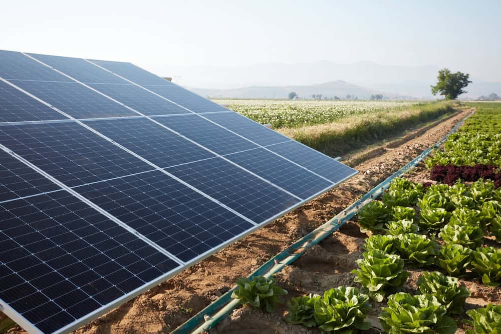 Il Decreto legge “Agricoltura” pone limiti al fotovoltaico