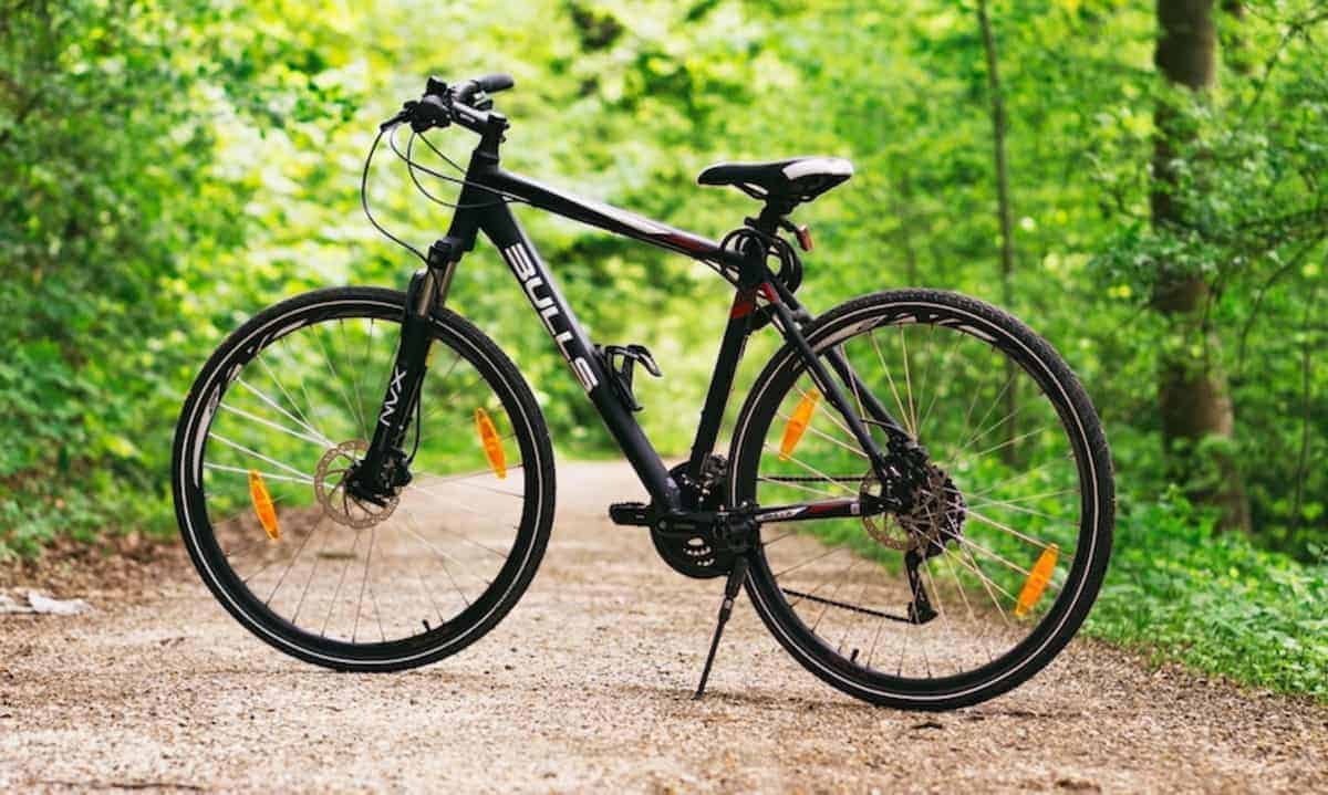 Una bicicletta in mezzo al bosco