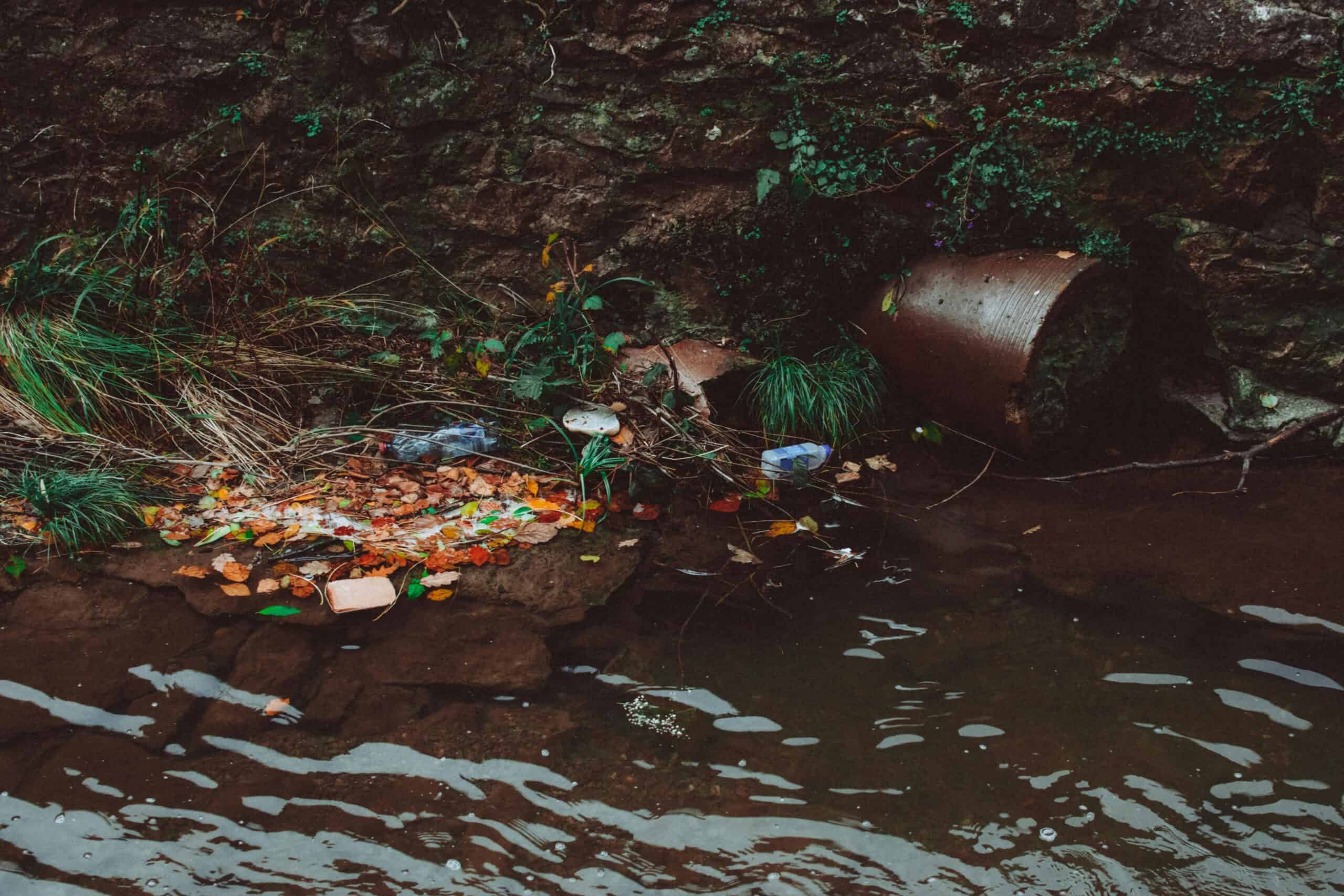 Fiumi di plastica: rifiuti in un corso d'acqua