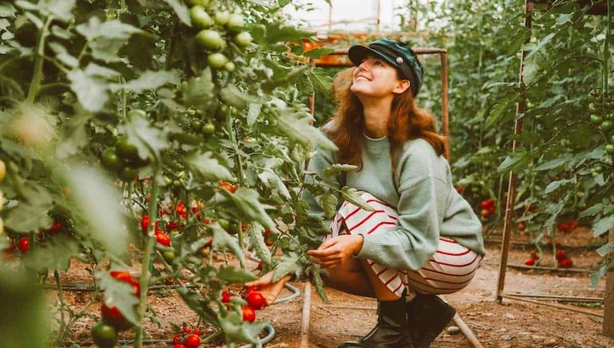 Una ragazza che si prende cura di alcune piantine