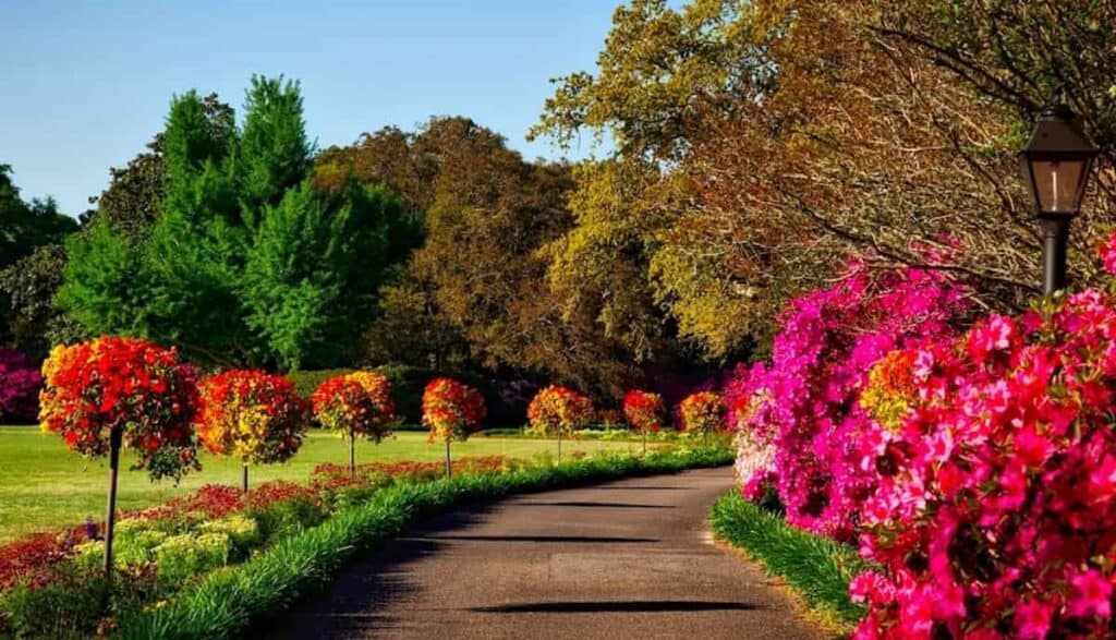 Costruire un bel giardino minimizzando l'utilizzo di acqua è assolutamente possibile: scopriamo insieme come fare.