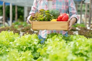 Corte dei conti Ue: a rischio gli obiettivi per l’agricoltura biologica