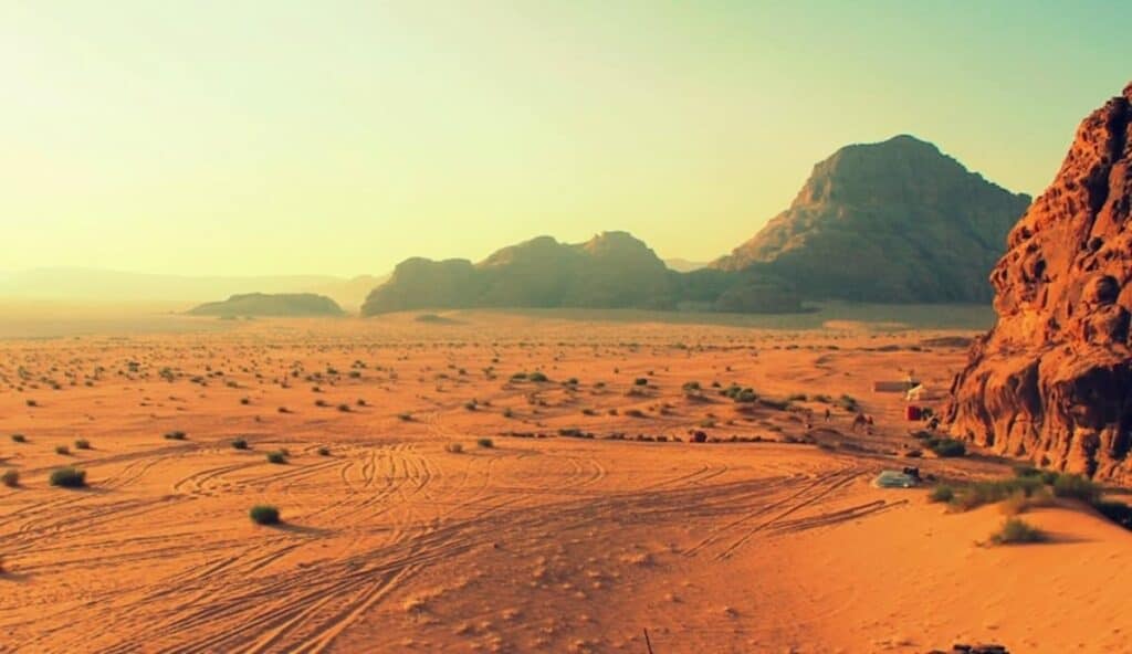 Il fenomeno della desertificazione sta iniziando ad interessare anche alcune zone del nostro Paese: ecco come combatterlo.