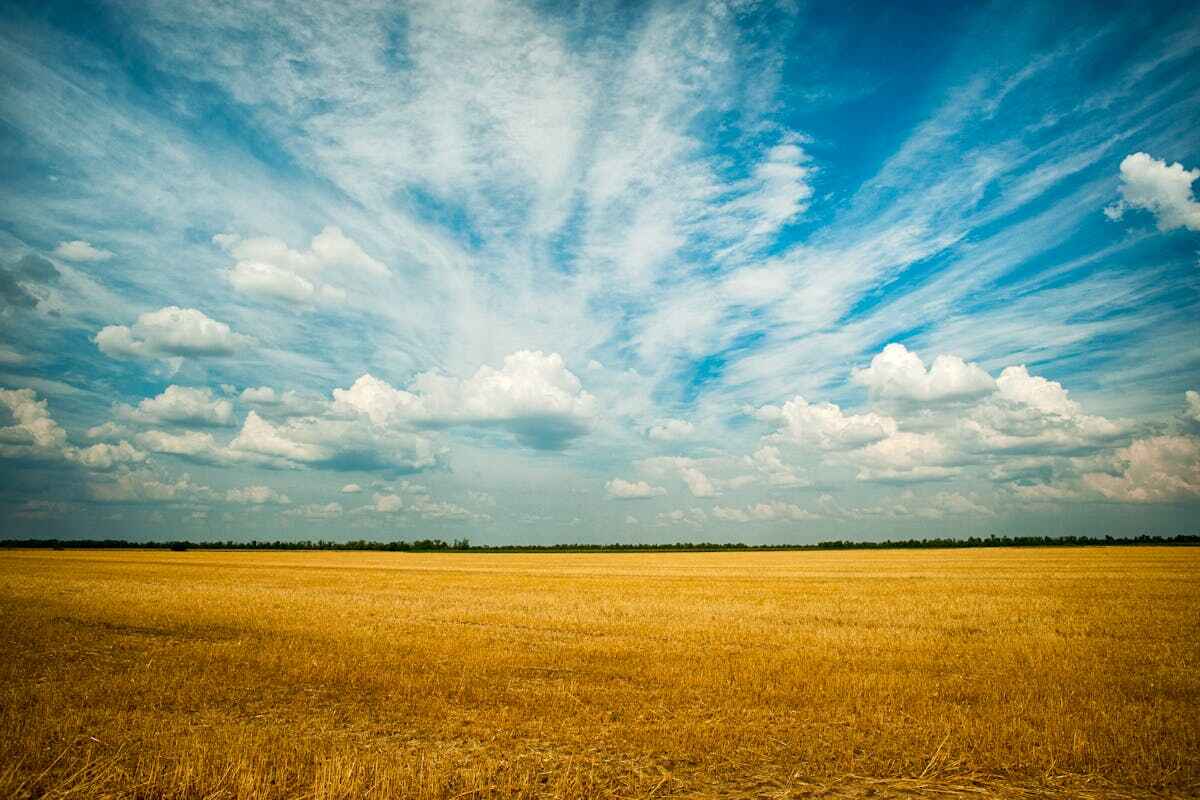 Fiumi volanti in cielo