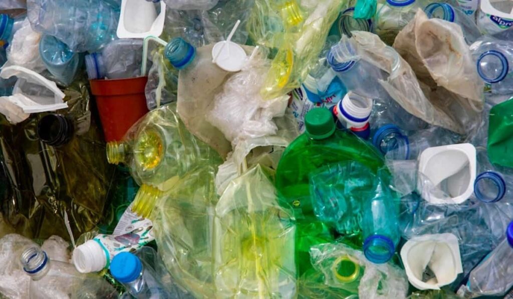 Ecco che cosa sono esattamente le bioplastiche e perché questi materiali possono essere davvero molto preziosi per il nostro ambiente.