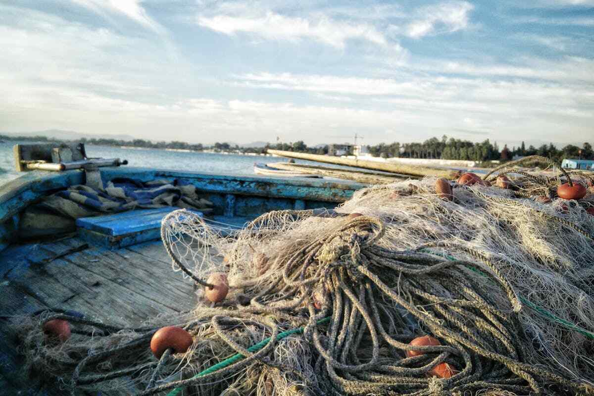 Paolo Fanciulli: reti dei pescatori a bordo nave