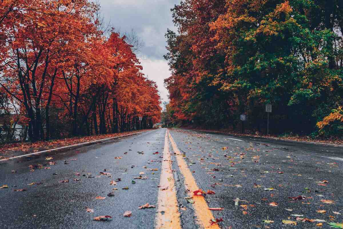 Pavimentazione permeabile: una strada in una giornata uggiosa di autunno