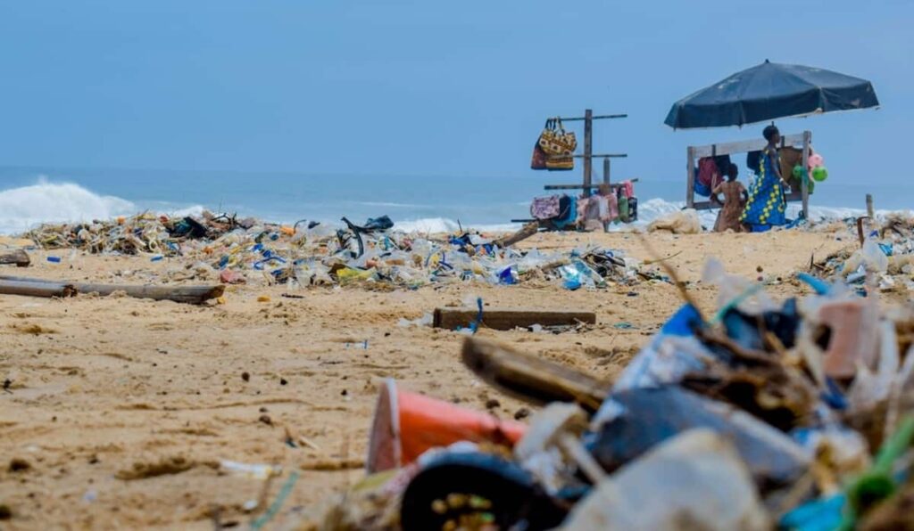 Scopriamo insieme in che modo è possibile valutare l'impatto delle materie microplastiche con le quali siamo ormai costretti a convivere.