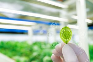 Agricoltura 4.0 grazie a nano tecnologie ottenute dagli scarti