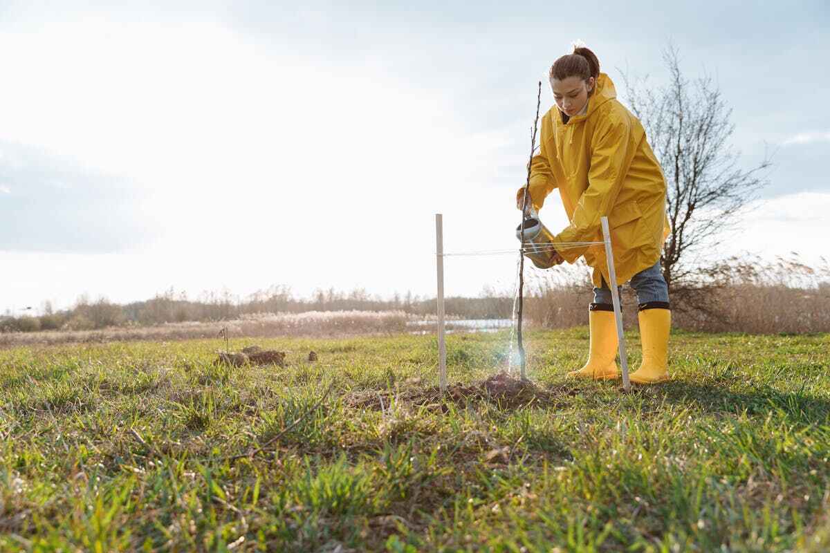 Cop29: una donna semina nel suo campo