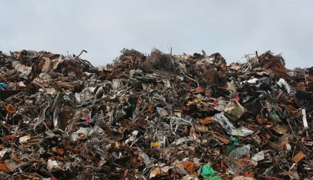 Ecco tutto quello che è necessario sapere rispetto ai waste pickers: vediamo chi sono e perché il loro lavoro è importante.