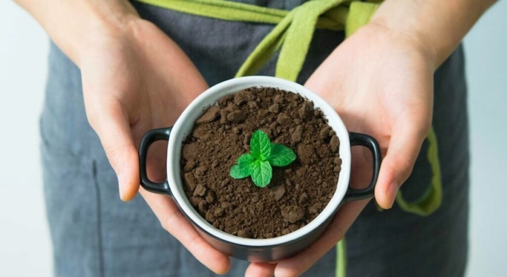 Ecco tutto quello che è necessario sapere riguardo al reato di ecocidio: vediamo in cosa consiste e che rischi comporta.