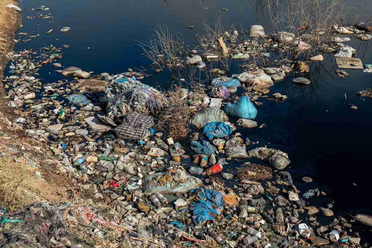 Isola di plastica: rifiuti a galla