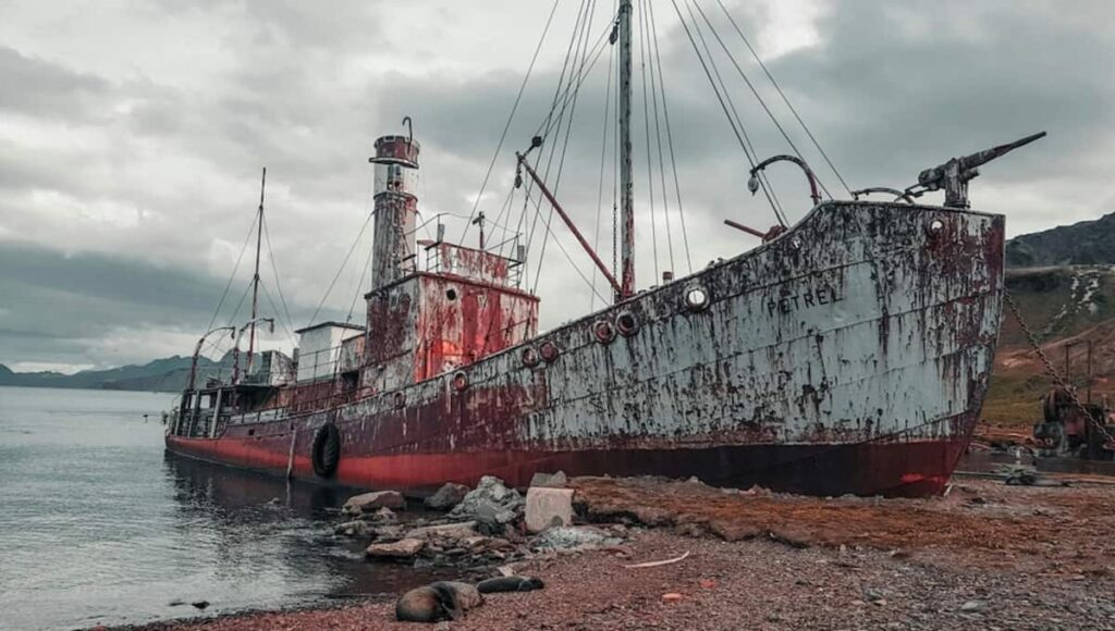 Scopriamo insieme tutte le curiosità riguardanti la vita di Paul Watson, il coraggioso fondatore dell'organizzazione ambientalista Sea Sheperd.