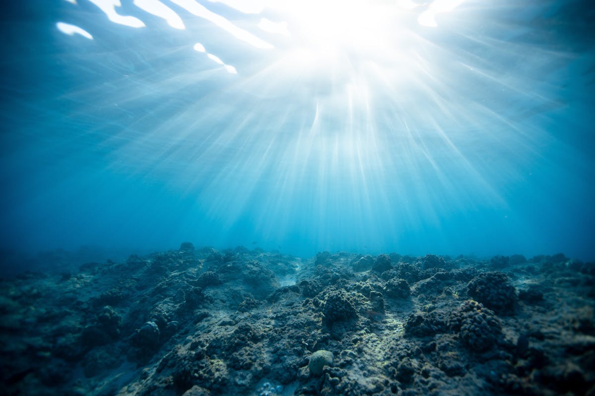 Temperatura del mare Adriatico: raggi di sole filtrano dalla superficie