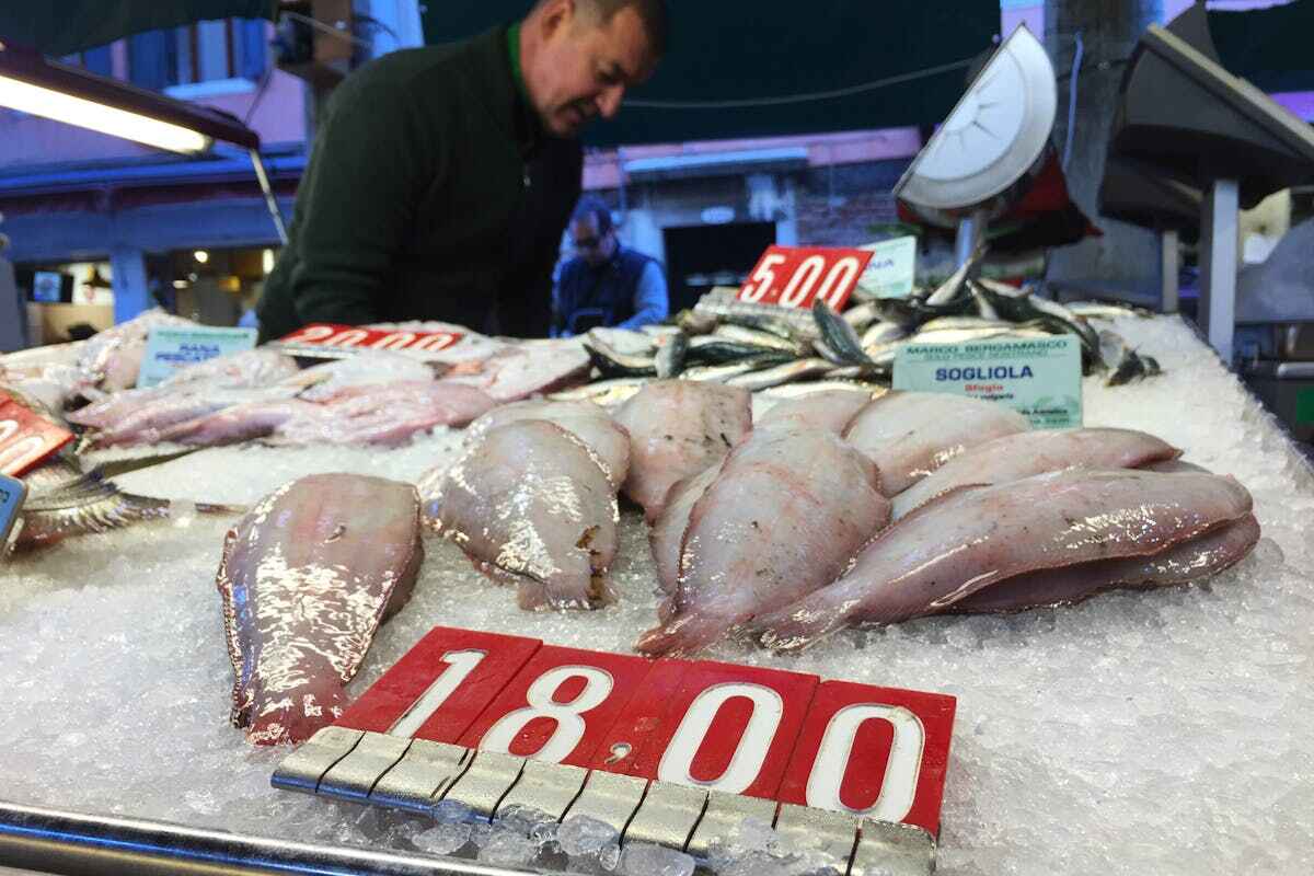 Zone di pesca FAO: pesce al mercato